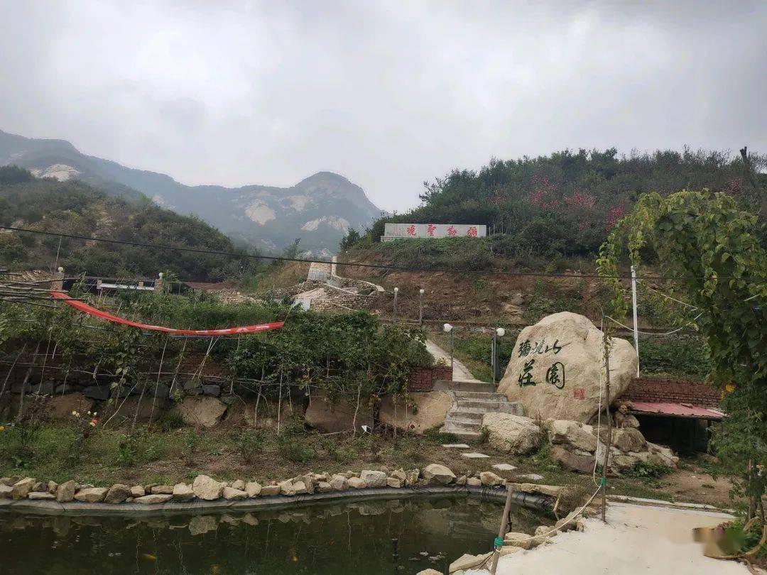 小猪佩奇找蛋糕