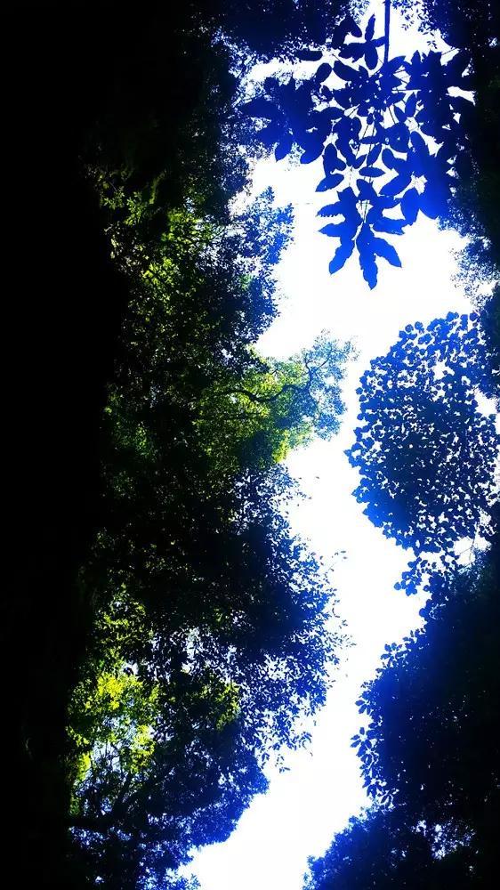 拯救活力男孩