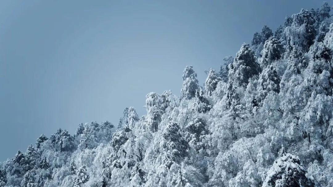 吉鑫科技(601218.SH)股东张晋榆完成减持977.09万股