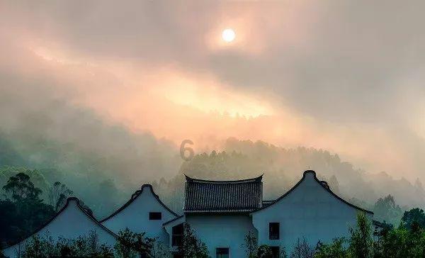 逃离危险禁地