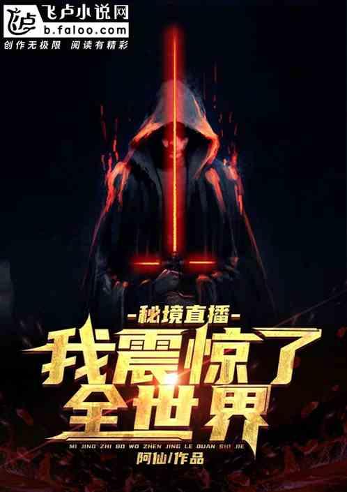 高级定制