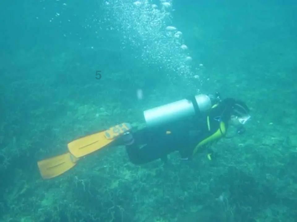 归家异途