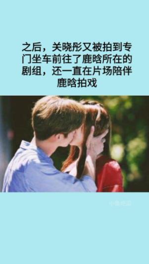 天天趣抓