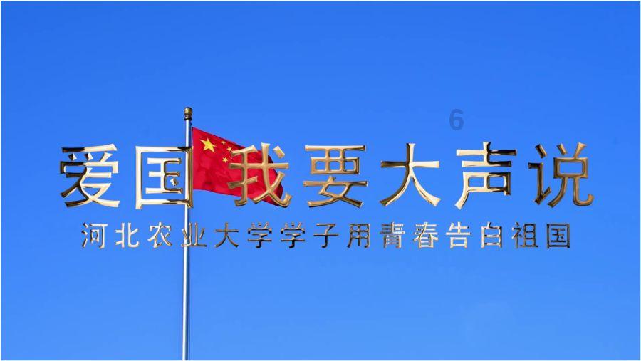 小猫钓鱼游戏龙王版有船
