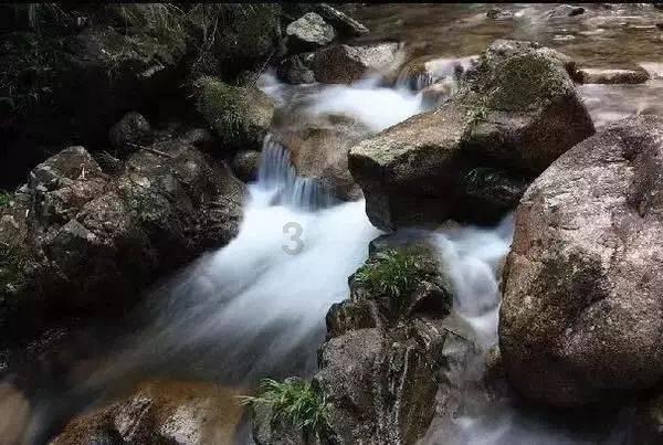 你能逃离此地吗