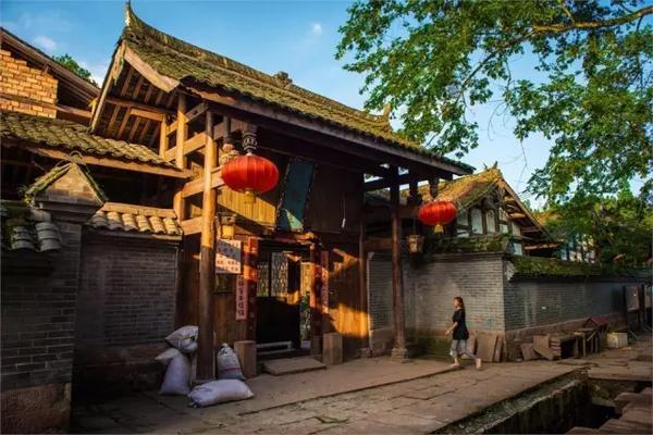 河北省邯郸市永年区《有偿寻猫》——3000寻“美短加白公猫”
