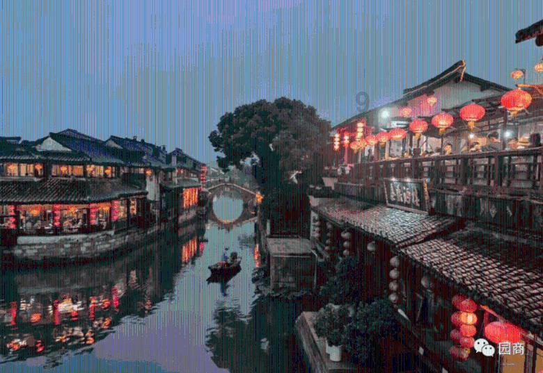 辛芷蕾：你以为繁花写真只是美美哒的照片？错了，背后有娱乐秘辛